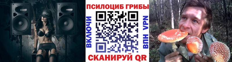 Галлюциногенные грибы Magic Shrooms  продажа наркотиков  нарко площадка какой сайт  Орлов 
